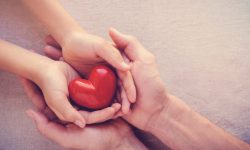 adult-child-hands-holiding-red-heart-health-care-love-give-hope-family-concept_49149-13